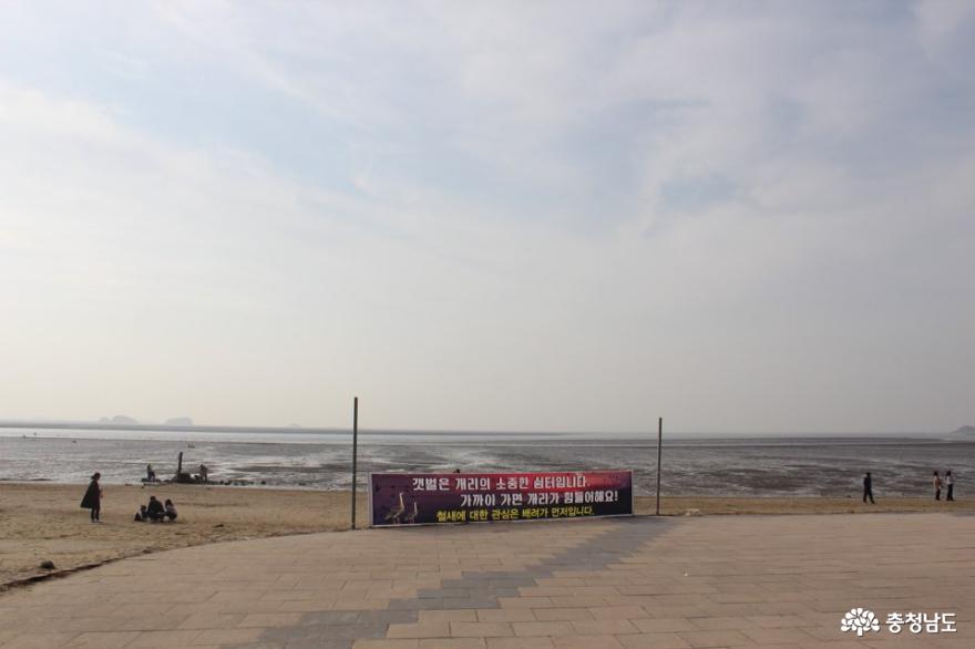 길을 따라 바다로 나가면 보이는 서해바다