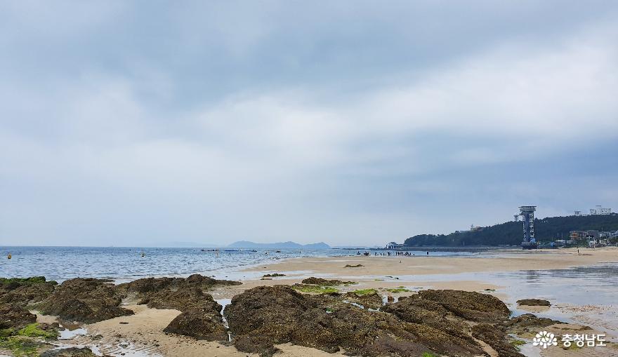충남 여름휴가 1번지 대천해수욕장 사진