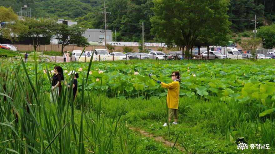정안천 연못을 즐기는 시민