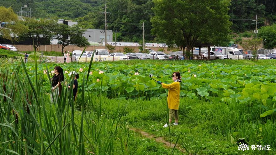 정안천 연못을 즐기는 시민