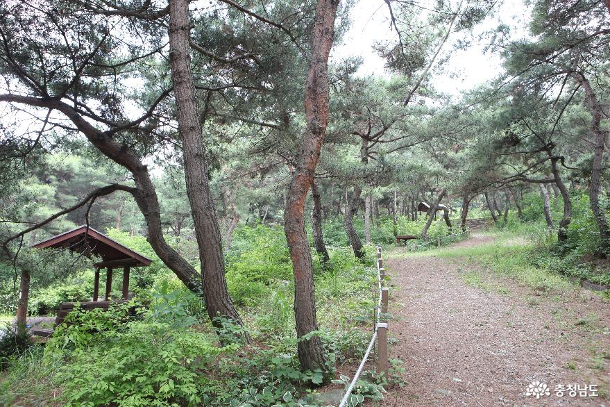 포스트코로나 시대, 언택트 여행은 ‘천안에서!’ 사진
