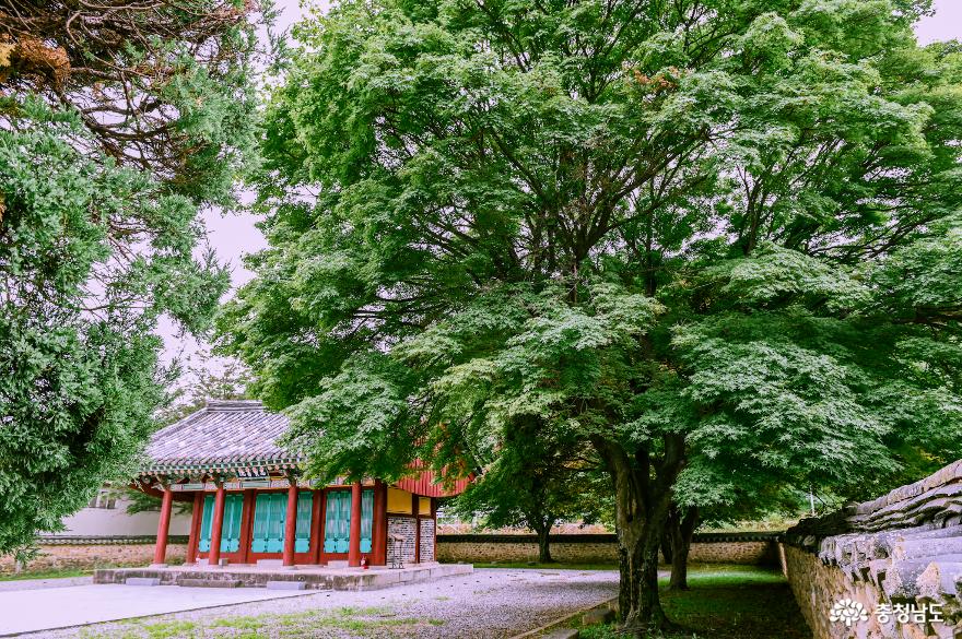 충현서원에서 송곡지까지의 산책 사진