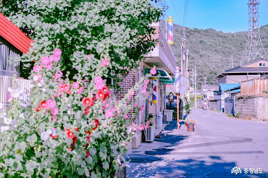 충현서원에서 송곡지까지의 산책 사진