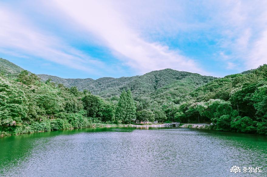 충현서원에서 송곡지까지의 산책 사진