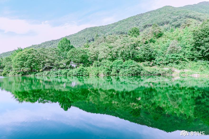 충현서원에서 송곡지까지의 산책 사진