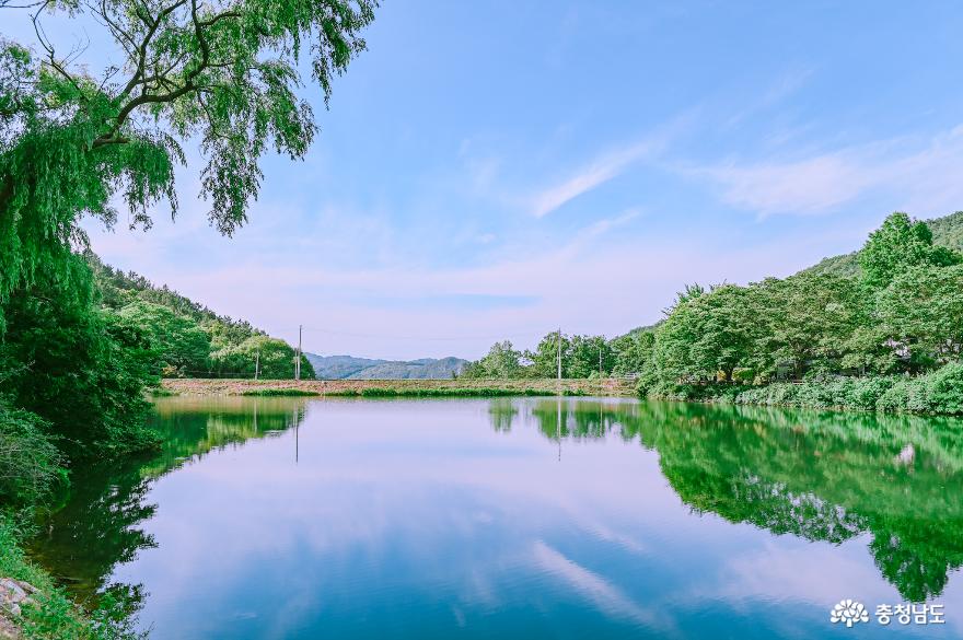 충현서원에서 송곡지까지의 산책 사진