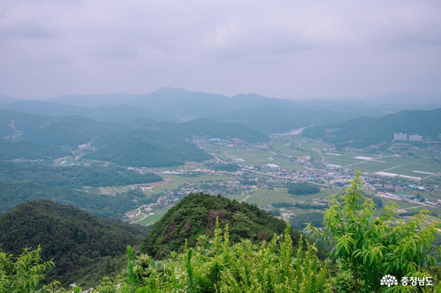 연꽃, 능소화 피는 여름 외암민속마을 사진