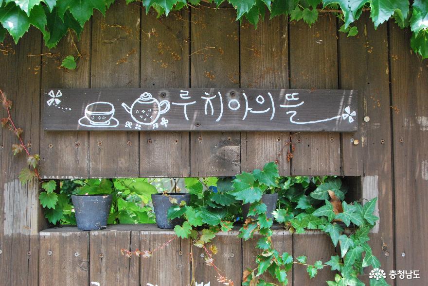 걸음걸음 파란색 포인트가 매력적인 차(茶)문화 공간 '루치아의 뜰' 3