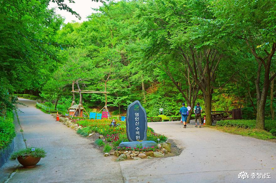 > > >충남관광 충남관광