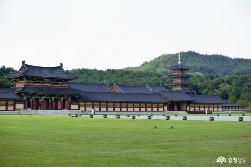 여름휴가지로 추천하고 싶은 백제문화단지 사진