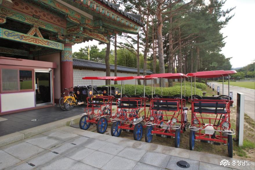 여름휴가지로 추천하고 싶은 백제문화단지 사진