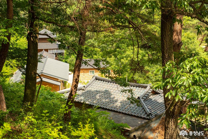 토속적느낌가득한유구관불산관불암 15