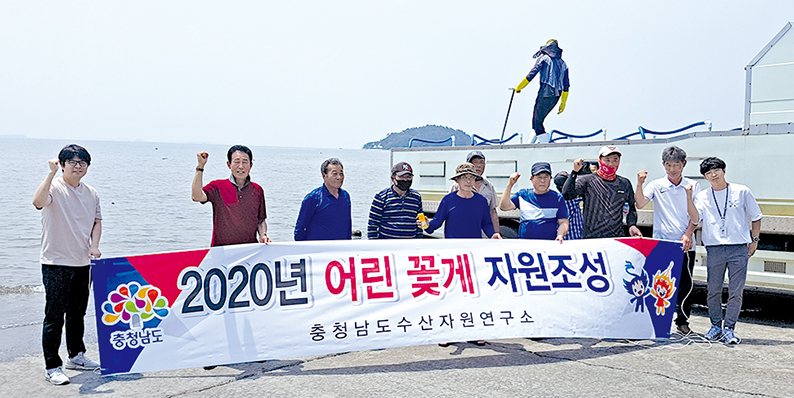 어린 주꾸미·꽃게 122만 마리 방류 1