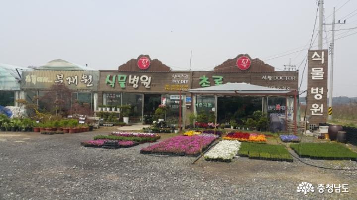 식물병원 '식물에서'에서 식물심기 체험하며 힐링했어요 1