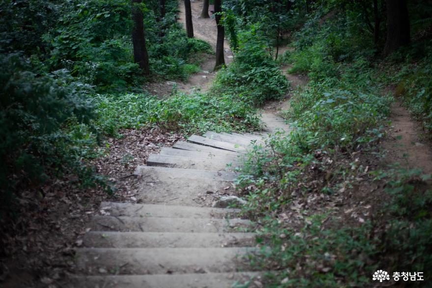 여름 피서지로 딱 좋은 성환 성산산책 사진