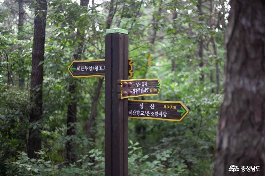 여름 피서지로 딱 좋은 성환 성산산책 사진