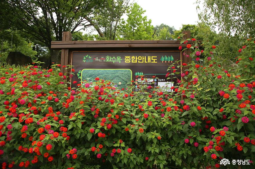 하늘 아래 가장 아름다운 정원 천안 화수목 사진