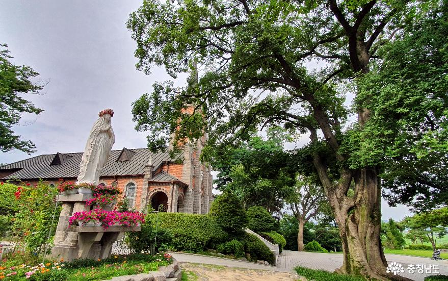 한국에서 가장 아름다운 성당 ‘아산 공세리 성당’