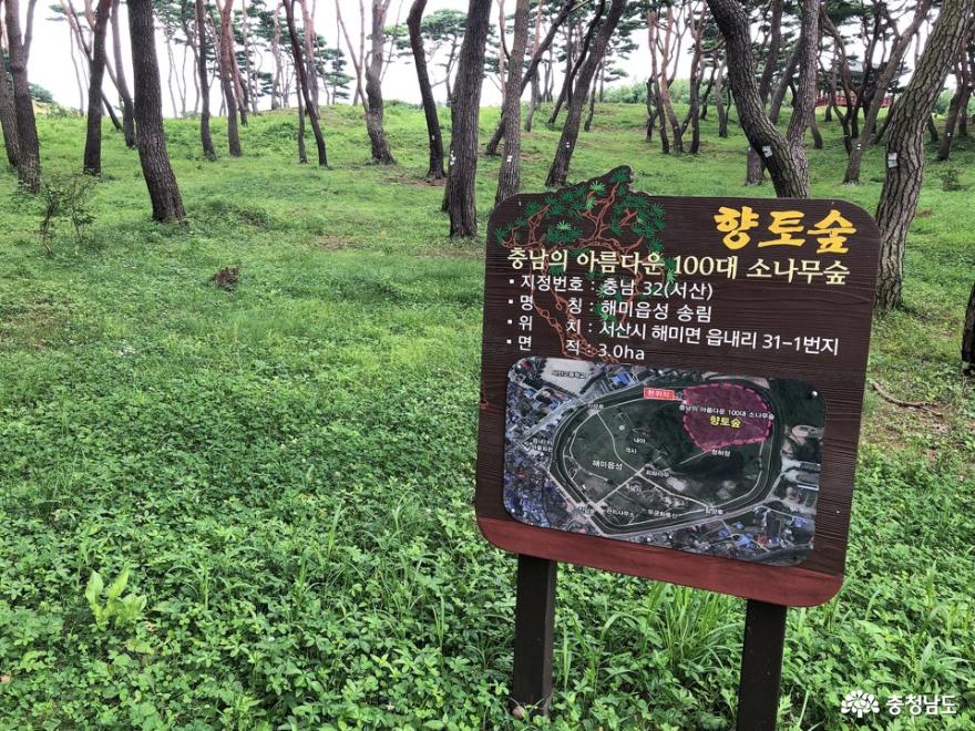 향토숲