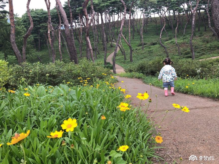 아이와