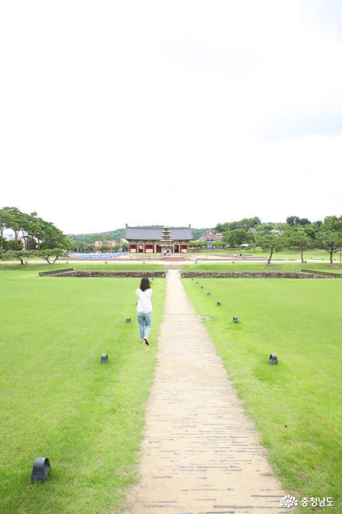 책에서 보던 부여 정림사지오층석탑을 찾다 사진