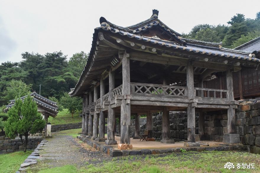 배롱나무 곱게 핀 논산 종학당에 서서 사진