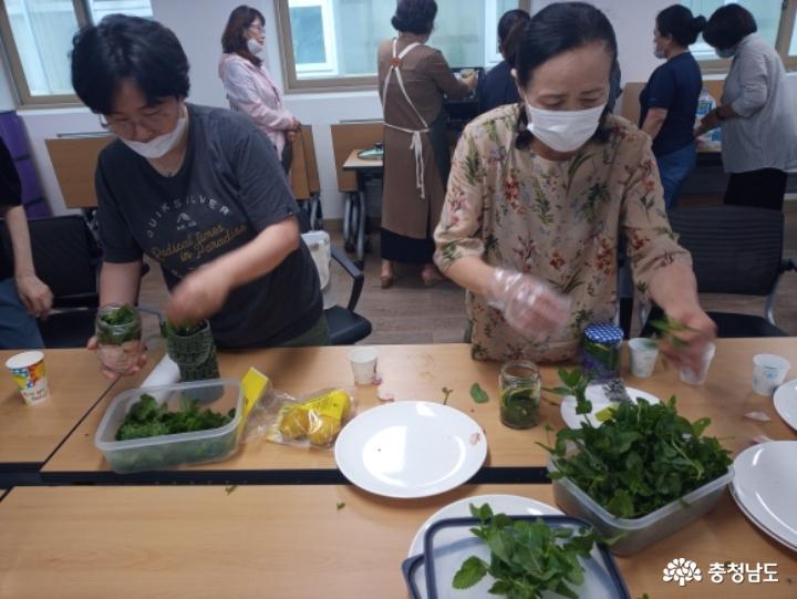 장미꽃청, 도라지꽃청으로 여름 무더위 이겨내요 사진