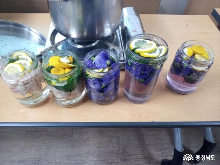 장미꽃청, 도라지꽃청으로 여름 무더위 이겨내요 사진