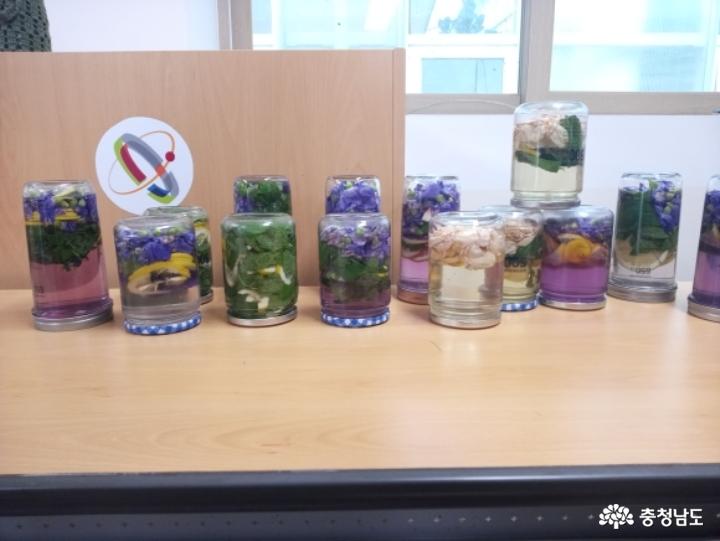 장미꽃청, 도라지꽃청으로 여름 무더위 이겨내요 사진