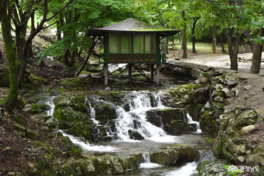 대둔산 자락에 자리한 고요한 논산 사찰, 영주사 사진