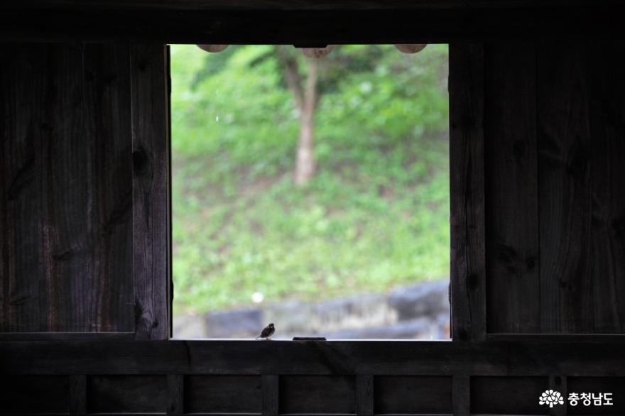 8월 여행 추천지, 배롱나무꽃 만개한 종학당 사진