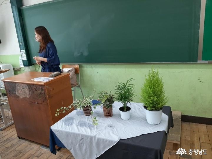 당진중학교에 식물공기청정기 바이오월이 설치되었어요 사진