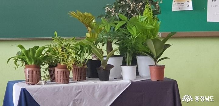 당진중학교에 식물공기청정기 바이오월이 설치되었어요 사진