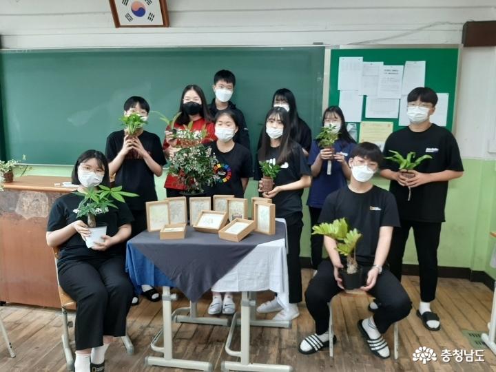 당진중학교에 식물공기청정기 바이오월이 설치되었어요 사진