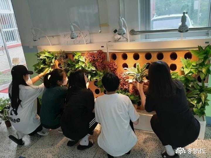 당진중학교에 식물공기청정기 바이오월이 설치되었어요 사진