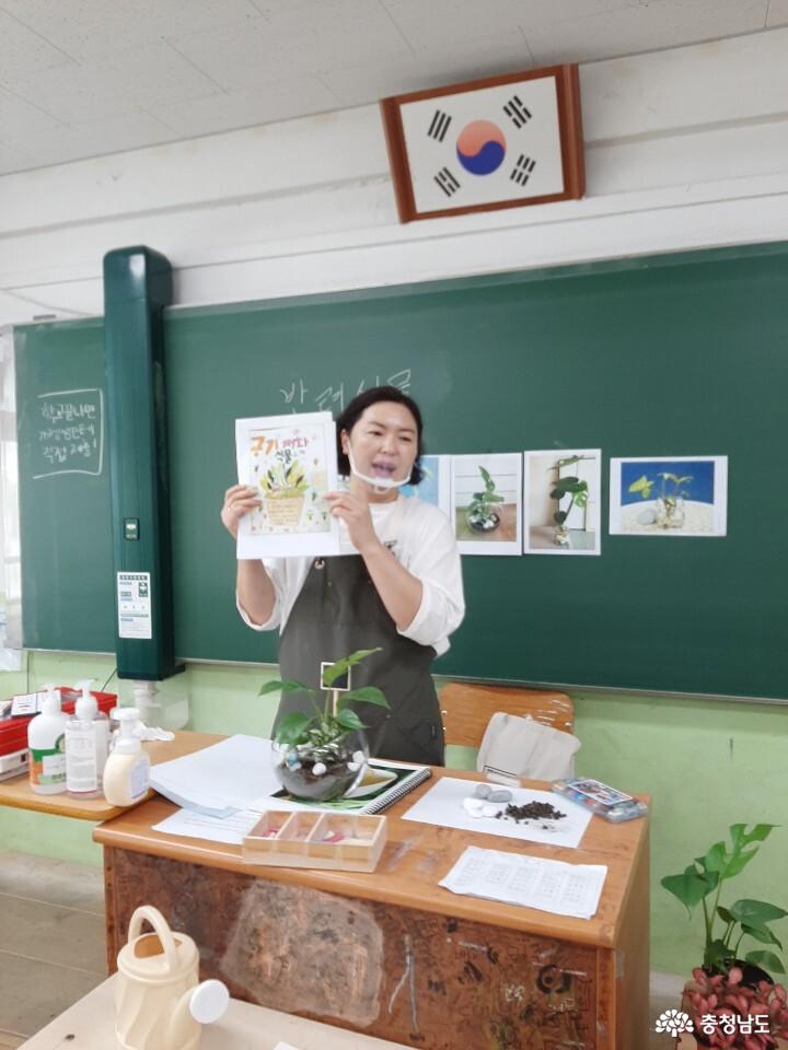당진중학교에 식물공기청정기 바이오월이 설치되었어요 사진