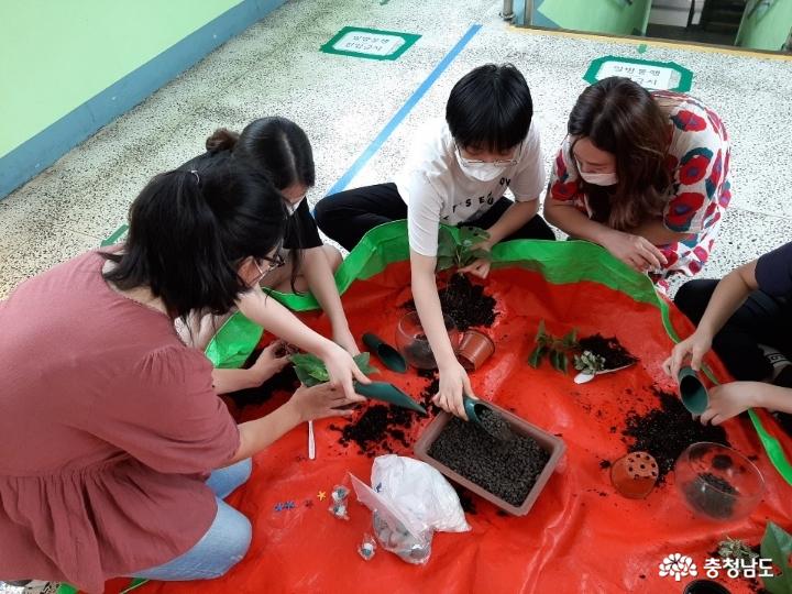 당진중학교에 식물공기청정기 바이오월이 설치되었어요 사진