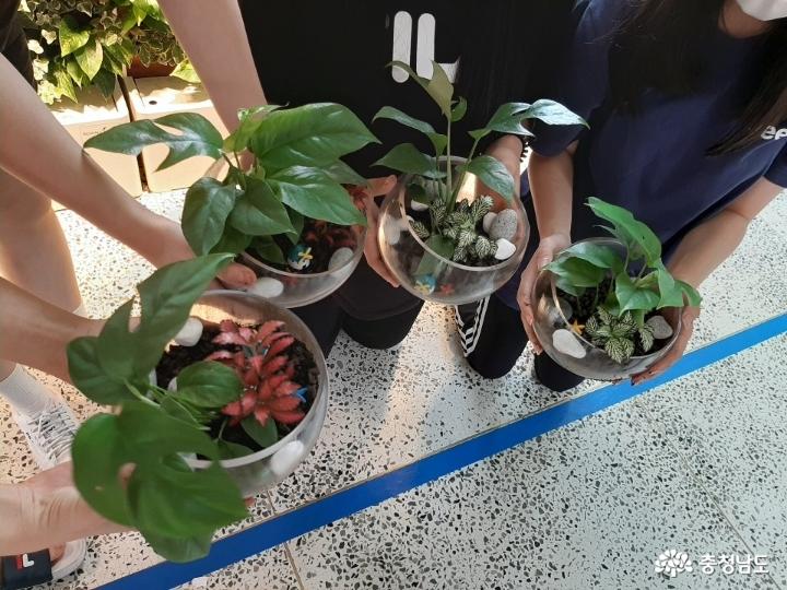 당진중학교에 식물공기청정기 바이오월이 설치되었어요 사진