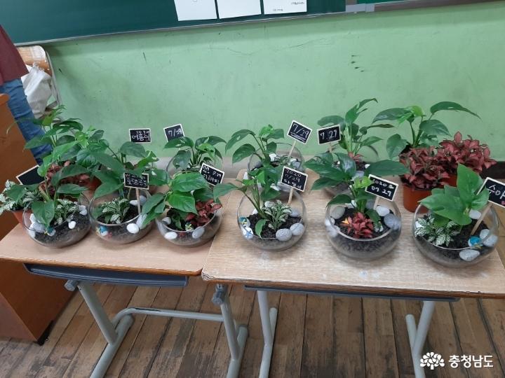 당진중학교에 식물공기청정기 바이오월이 설치되었어요 사진