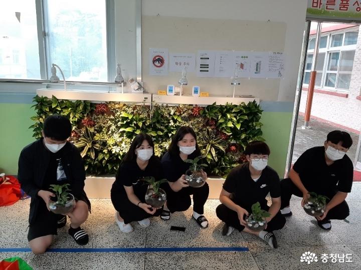 당진중학교에 식물공기청정기 바이오월이 설치되었어요 사진