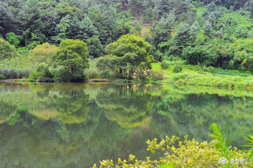 꽃창살 문양이 아름다운 충남 논산 쌍계사 사진