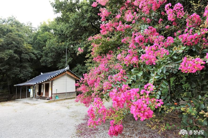 보명사1