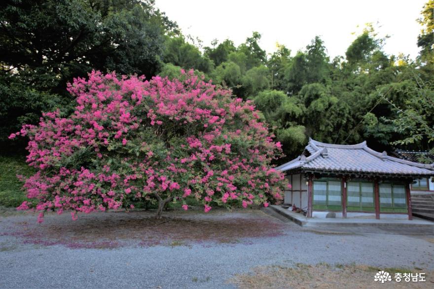 보명사2