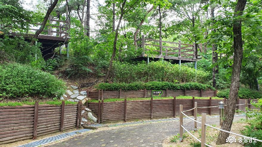 영인산 자연휴양림 캠핑장 A지구로 가는 숲길1.