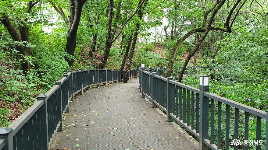 영인산 자연휴양림 캠핑장 A지구로 가는 숲길 2.