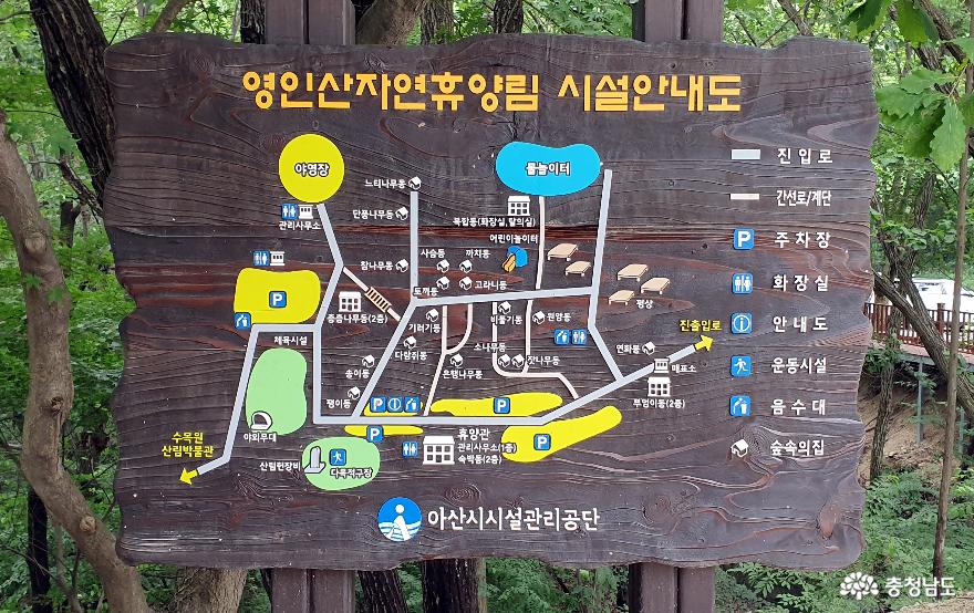 영인산 산림박물관 별관전시관 미디어아트.
