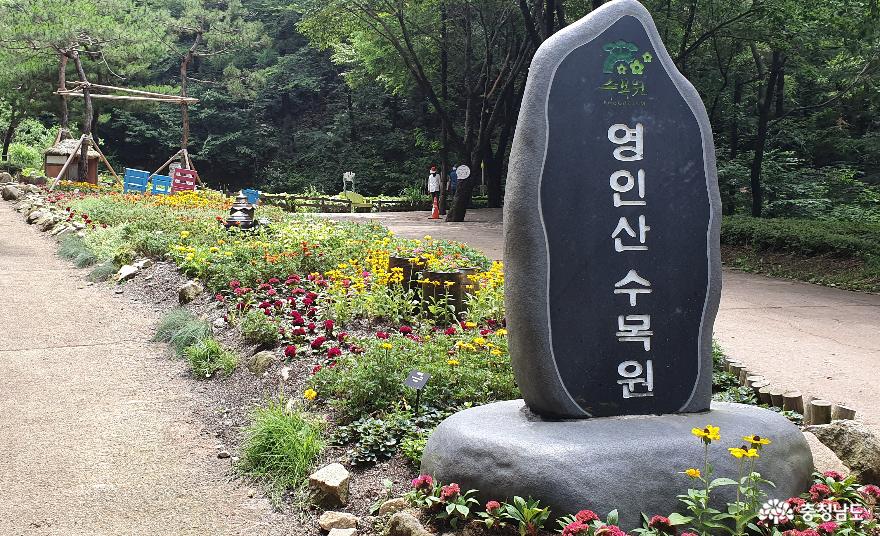 영인산 자연휴양림 수목원. 캠핑장과 이어져 있다.