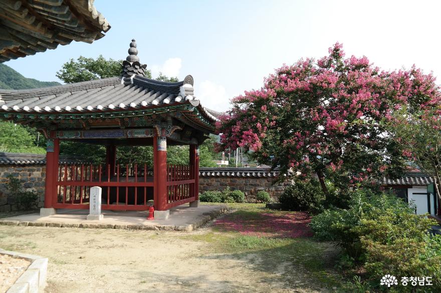 개태사 철확 과 배롱나무