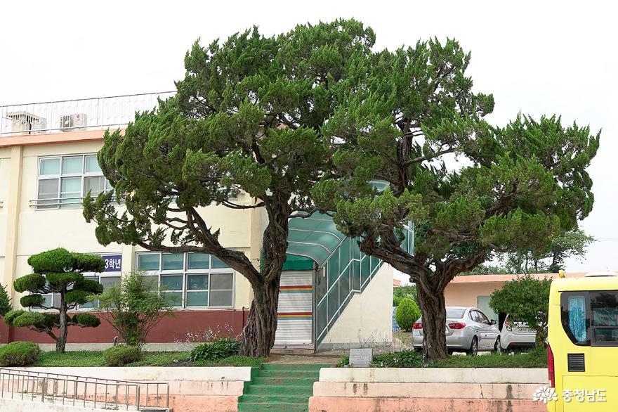 은진현관아터에자리잡은은진초등학교 7