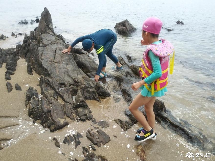 아이들과 떠나는 바다여행 '음포해수욕장' 사진